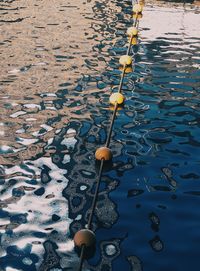 High angle view of floating on water at lake