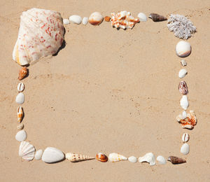 Close-up of shells on sand