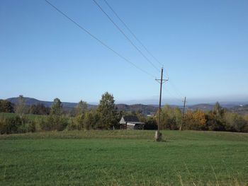 Scenic view of grassy field against blue sky