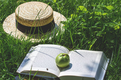 Open book on grass