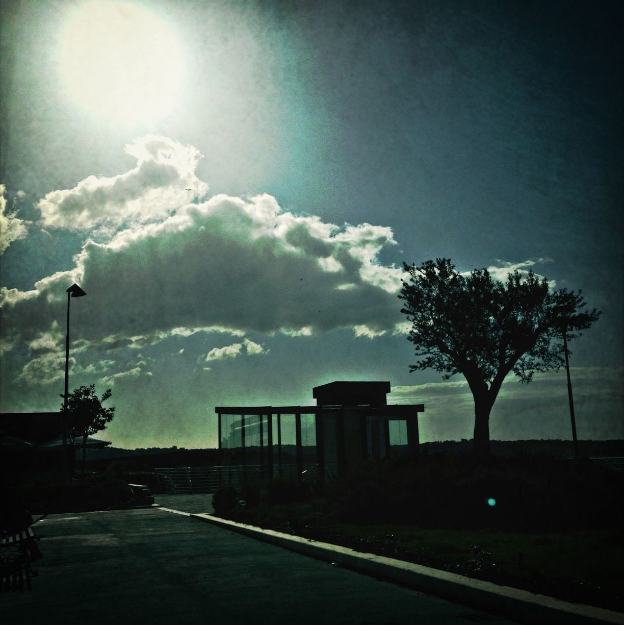 tree, sky, street light, silhouette, built structure, road, cloud - sky, building exterior, architecture, tranquility, nature, bare tree, the way forward, sunlight, street, cloud, tranquil scene, sunset, outdoors, dusk