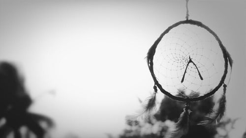 Close-up of feather hanging against sky