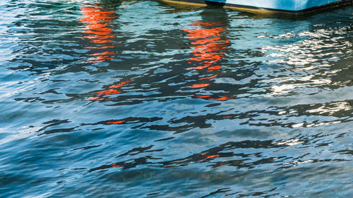 High angle view of koi carps swimming in lake