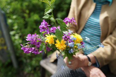 Low angle view of purple flowering plant