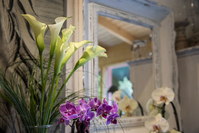 Close-up of purple flowering plant in vase at home