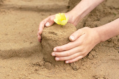 Close-up of woman hand holding sand on beach