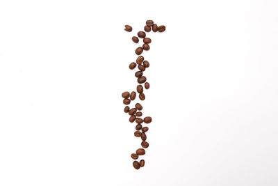 Close-up of coffee beans against white background