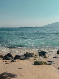 Scenic view of sea against clear sky