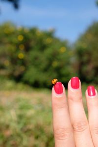 Cropped hand of woman with insect