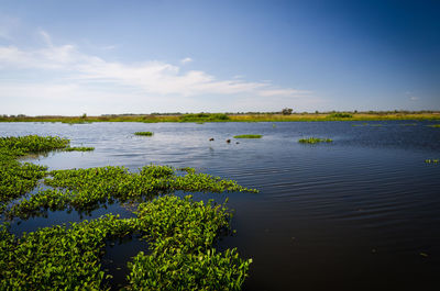 Scenic view of lake against sky