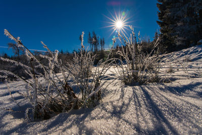 Scenic view of snow covered land against bright sun