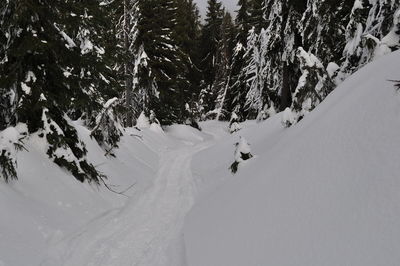 People skiing on snowcapped mountain