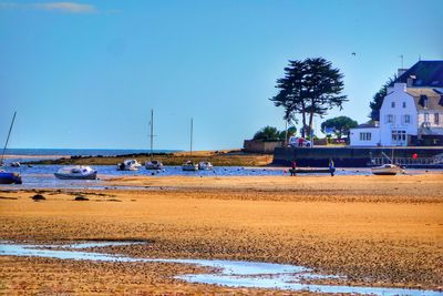 Boats in harbor