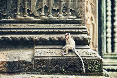 Monkey sitting on statue against temple