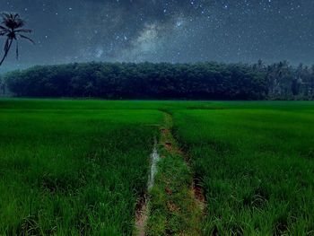 Scenic view of grassy field against sky at dusk