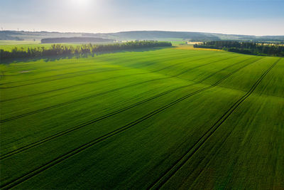 Scenic view of agricultural field against sky