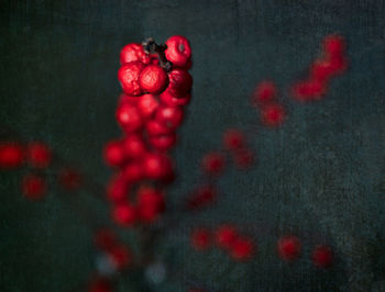 High angle view of red berries on black background