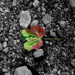 Pebbles on rocks