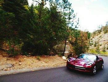 Car on road by trees