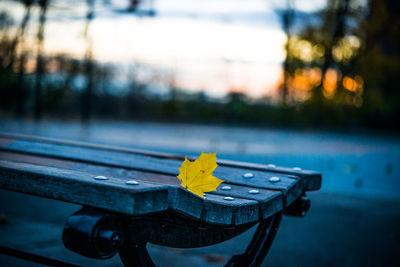 Empty public park bench with a lone fallen yellow leaf at sunset 