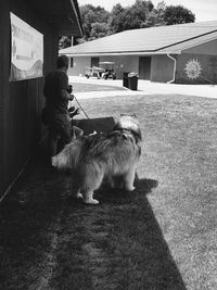 Woman standing with dog