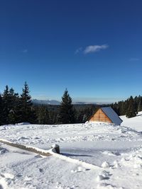 Snow covered trees against sky