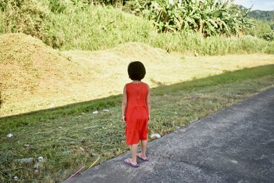 Rear view of a man walking on grass