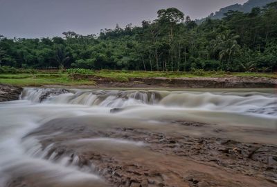 Scenic view of waterfall against trees in forest