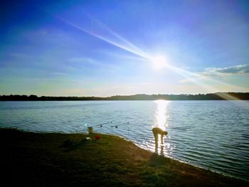 Swan on lake against sky during sunset