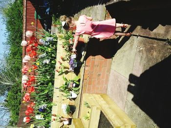 Low section of flowers on building