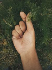 Low section of man hand on grass