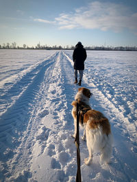 Rear view of woman with dog on snow covered land