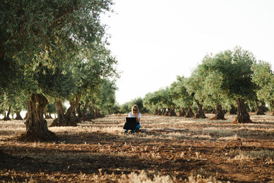 Woman using laptop while sitting at olive orchard