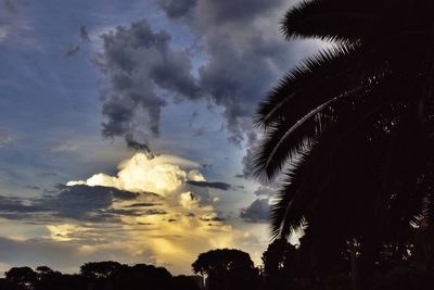 Low angle view of trees against cloudy sky