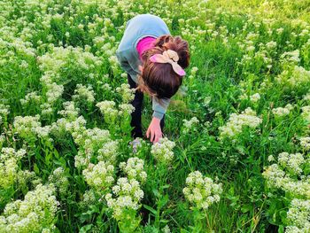 Girl picking flowers on the mountain among nature in spring