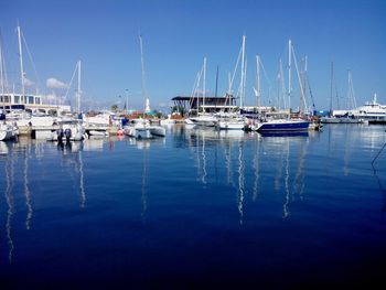 Sailboats in marina