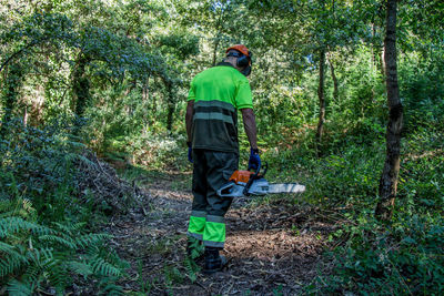  forest man working with chainsaw in forest