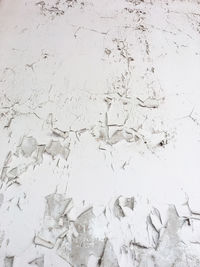 backgrounds