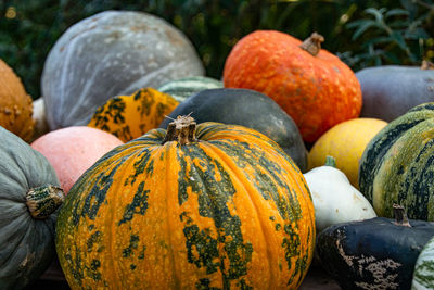 Close-up of pumpkins