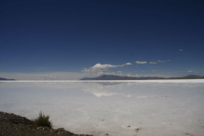 Scenic view of landscape