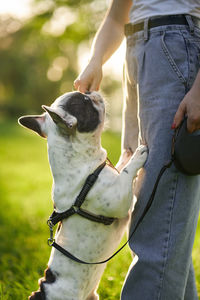 Low section of person with dog