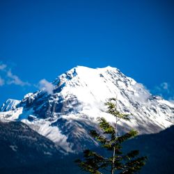Scenic view of snowcapped mountains against clear blue sky
