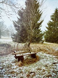 Bare trees on landscape against sky
