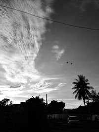 Low angle view of silhouette birds against sky