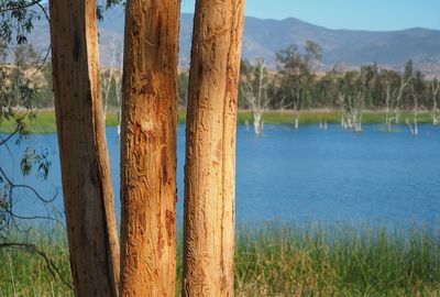 Scenic view of lake against sky