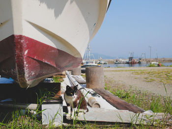 Close-up of sailboats moored on shore against sky