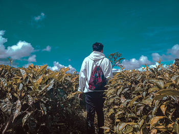 Rear view of man standing against sky