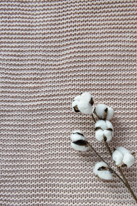 High angle view of white flowers on table