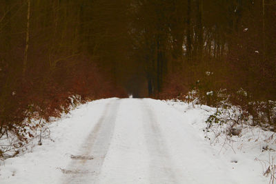 Snow covered road amidst trees in forest