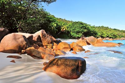 View of rocks on beach